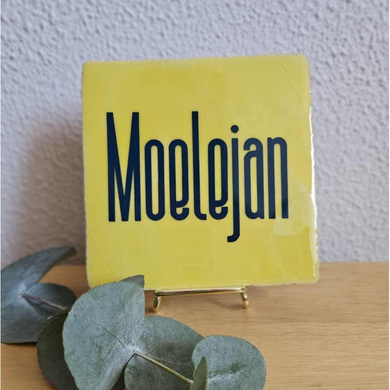 Moelejan
